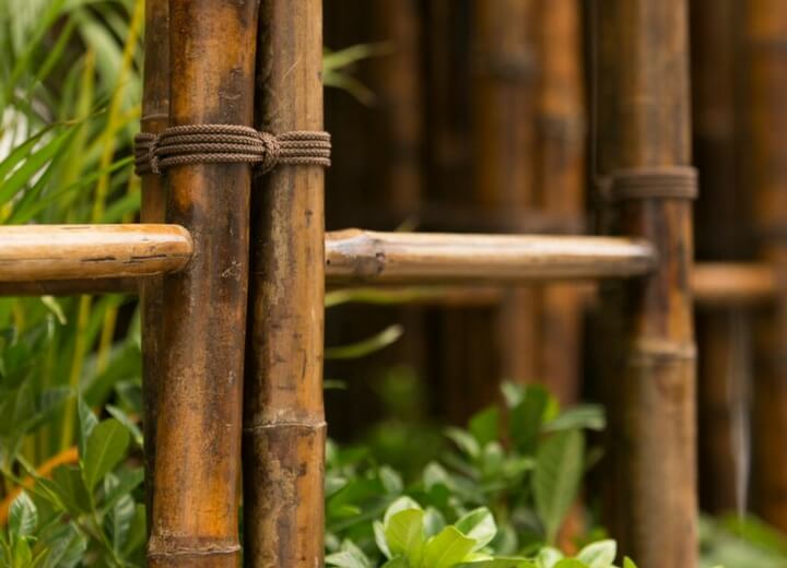 Barangaroo Installation - Bamboo Poles