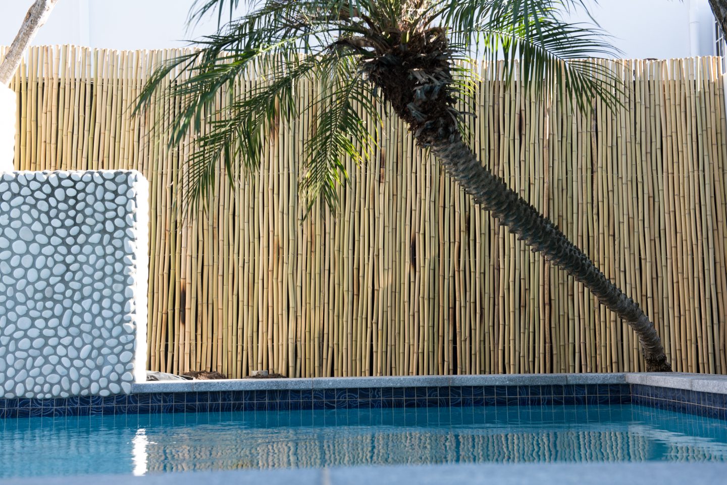 Tonkin Bamboo Fencing Around Pool