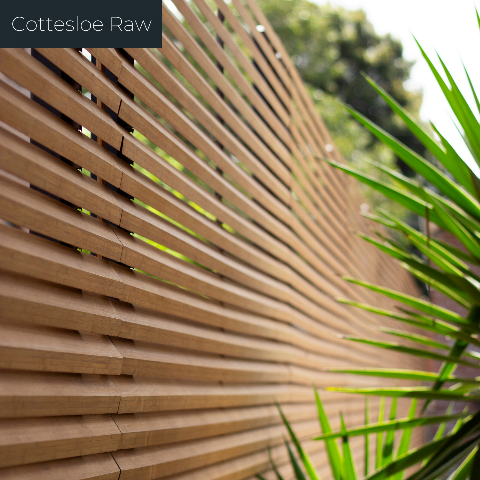 Cottesloe Screen Raw - Laminated Bamboo Privacy Screen
