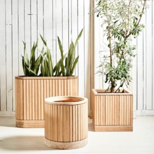 Modern Bamboo Planters - Three Sizes