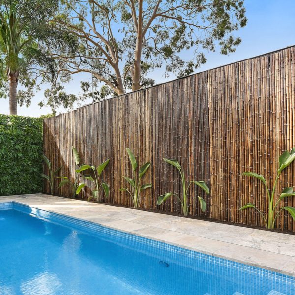 Pool Compliant Fencing Options For Boundary Fence - Square