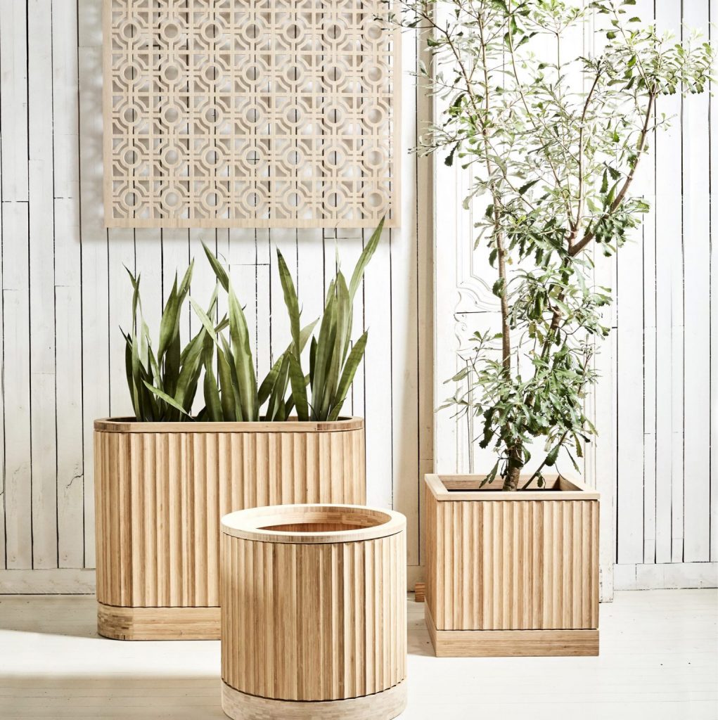 Round Square and Through Bamboo Planters