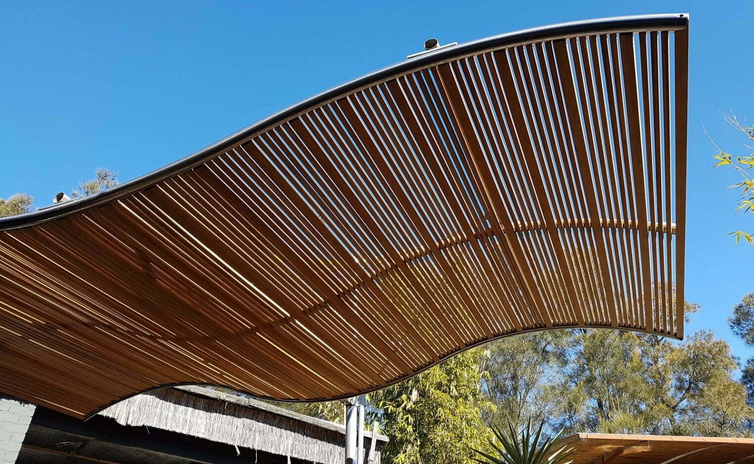 Contemporary Bamboo Pergola