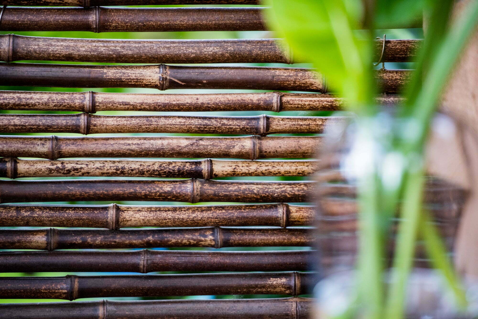 Horizontal Bamboo Fence