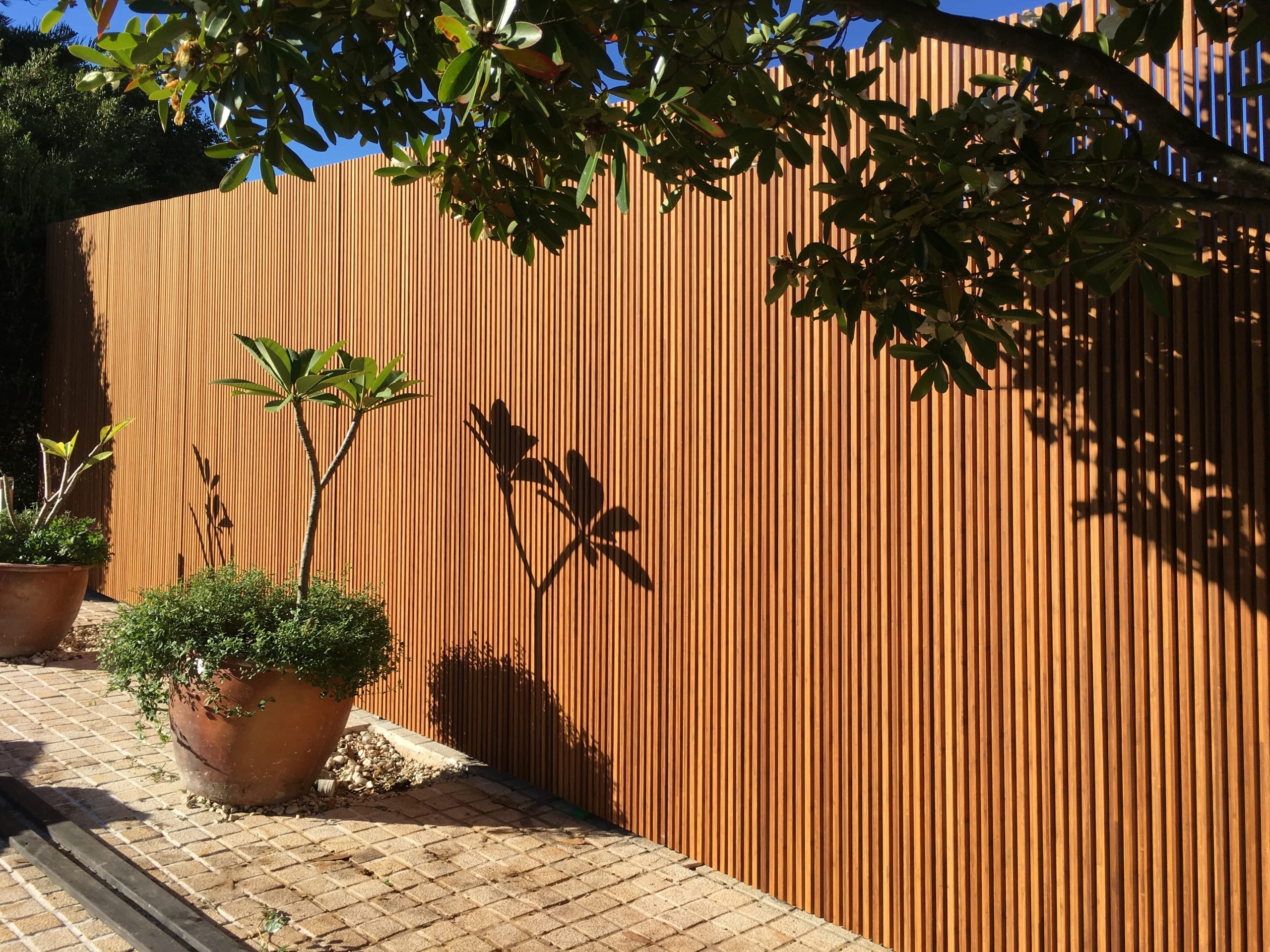 Slatted Bamboo Fence in Courtyard