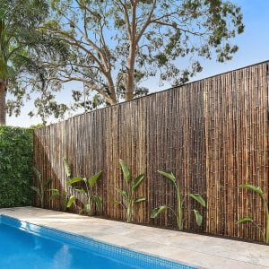 Pool Compliant Fencing Options For Boundary Fence