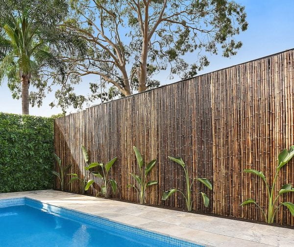 Pool Compliant Fencing Options For Boundary Fence