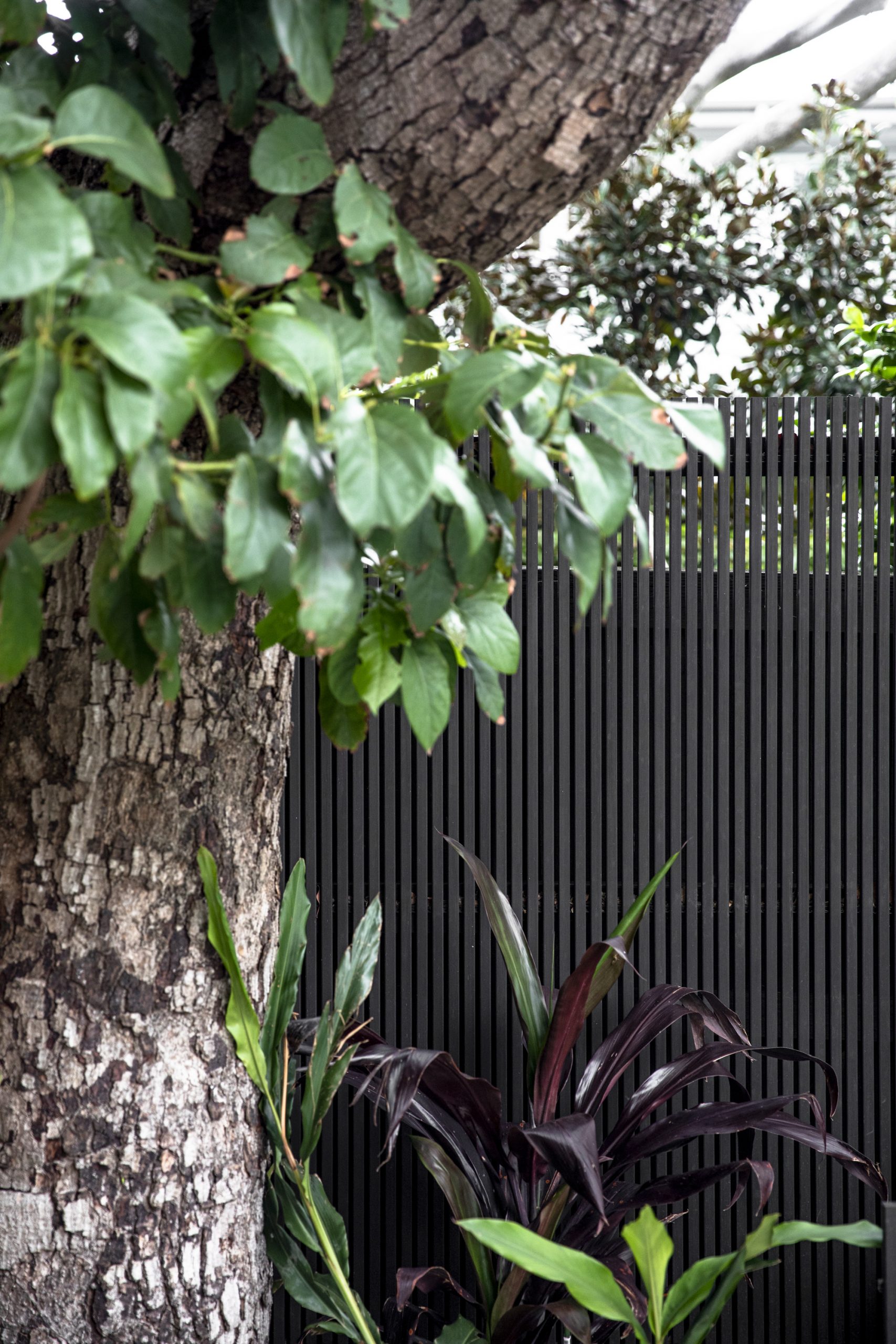 Modern Black Slatted Fence Made of Laminated Bamboo